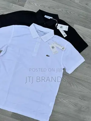 New Color T- Shirt