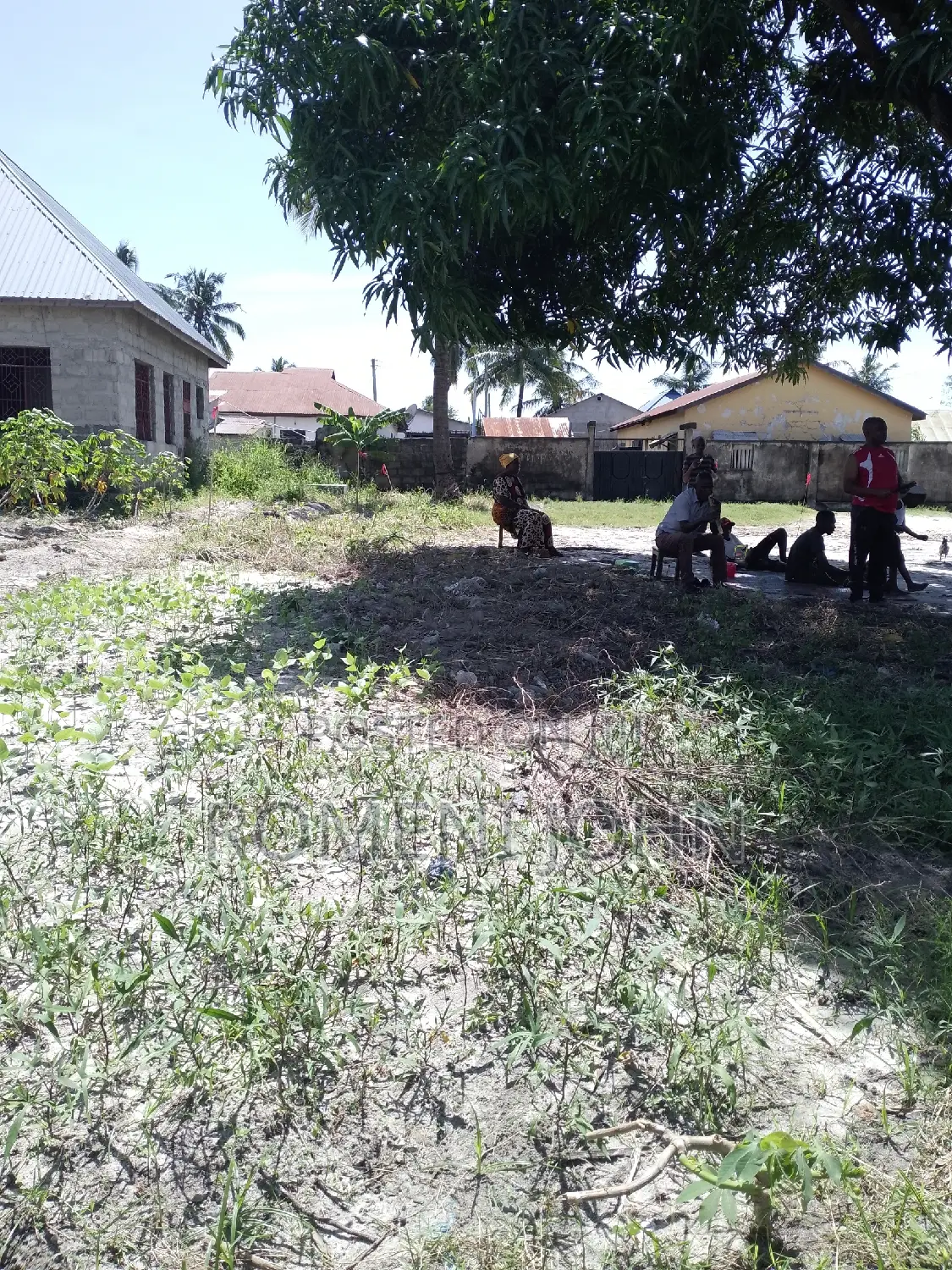 Kiwanja Sqmita 225 Kinauzwa Milioni 2.5 Majohe Rada