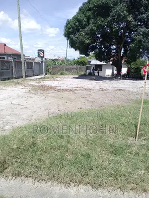 Kiwanja Sqmita 225 Kinauzwa Milioni 2.5 Majohe Chuo Rada.