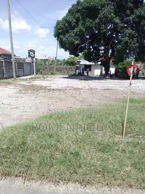 Kiwanja Sqmita 225 Kinauzwa Milioni 2.5 Majohe Chuo Rada.