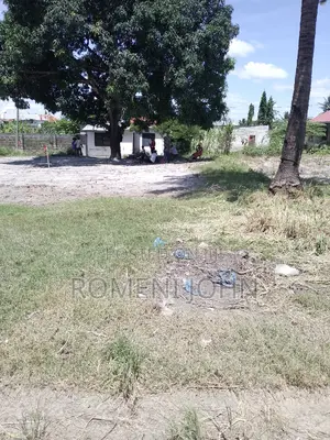 Kiwanja Sqmita 225 Kinauzwa Milioni 2.5 Majohe Chuo Rada.