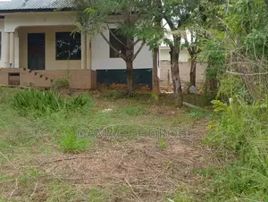 Plot Zuri Sana Inuzwa Luguruni