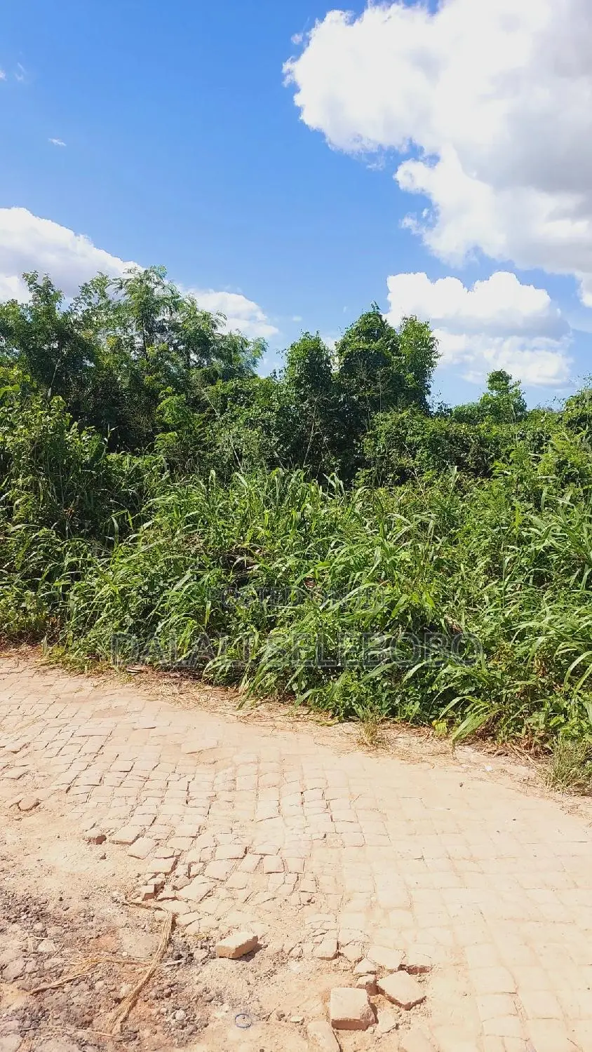 1bdrm Farm House in Ubungo Msewe Golani, Kinondoni for rent