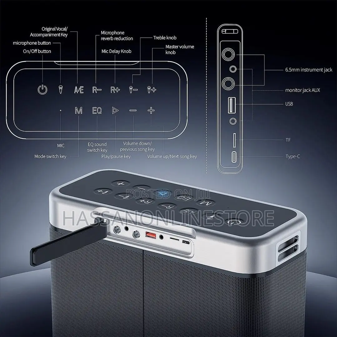 Vidvie Outdoor Dual Microphone Karaoke Speaker XL SP914