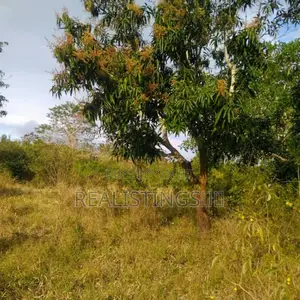 Handeni: Highway Front 2.25 Acres Land Inauzwa - Tanga