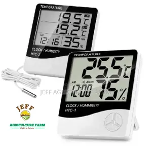Digital Thermometer Scale