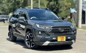 Toyota RAV4 Adventure AWD 2020 Gray