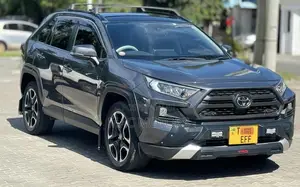 Toyota RAV4 Adventure AWD 2020 Gray