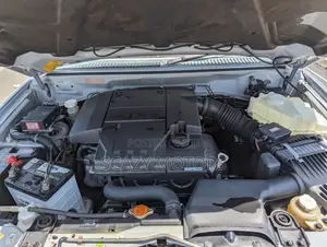 Mitsubishi Pajero 2005 Gray