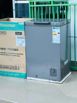 Freezer Lita 100, Hisense