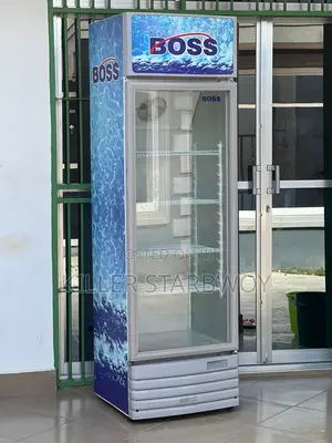 Display Fridge Lita 300
