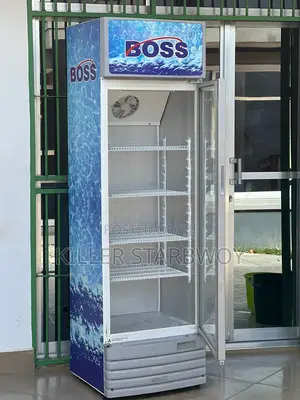 Display Fridge Lita 300