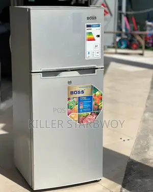 Fridge Lita 120 Boss