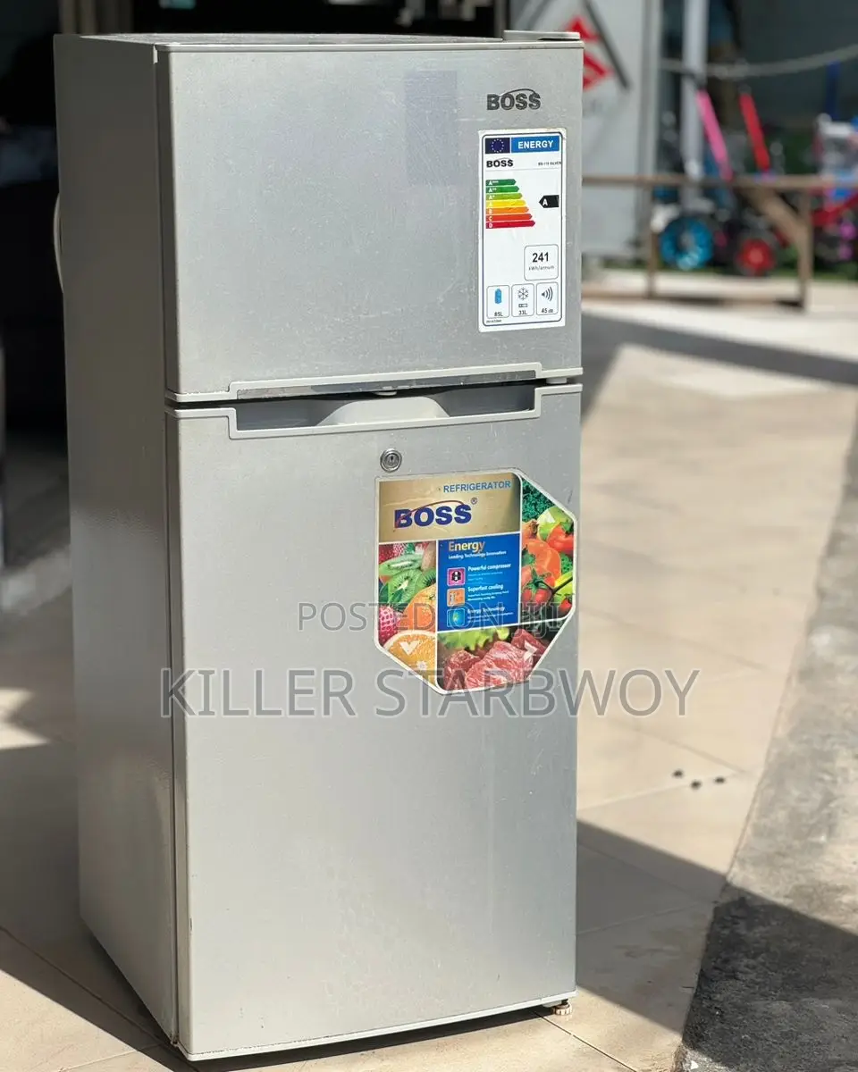 Fridge Lita 120 Boss