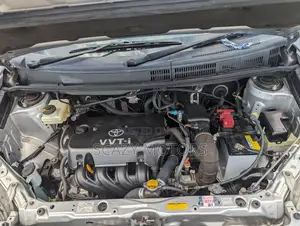 Toyota Raum 2007 Silver
