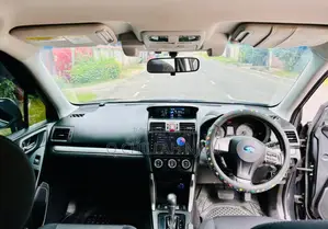 Subaru Forester 2013 Gray