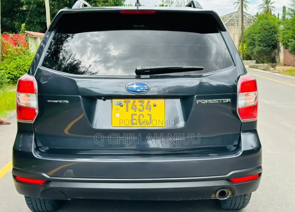 Subaru Forester 2013 Gray