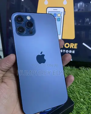 New Apple iPhone 12 Pro Max 256 GB Blue