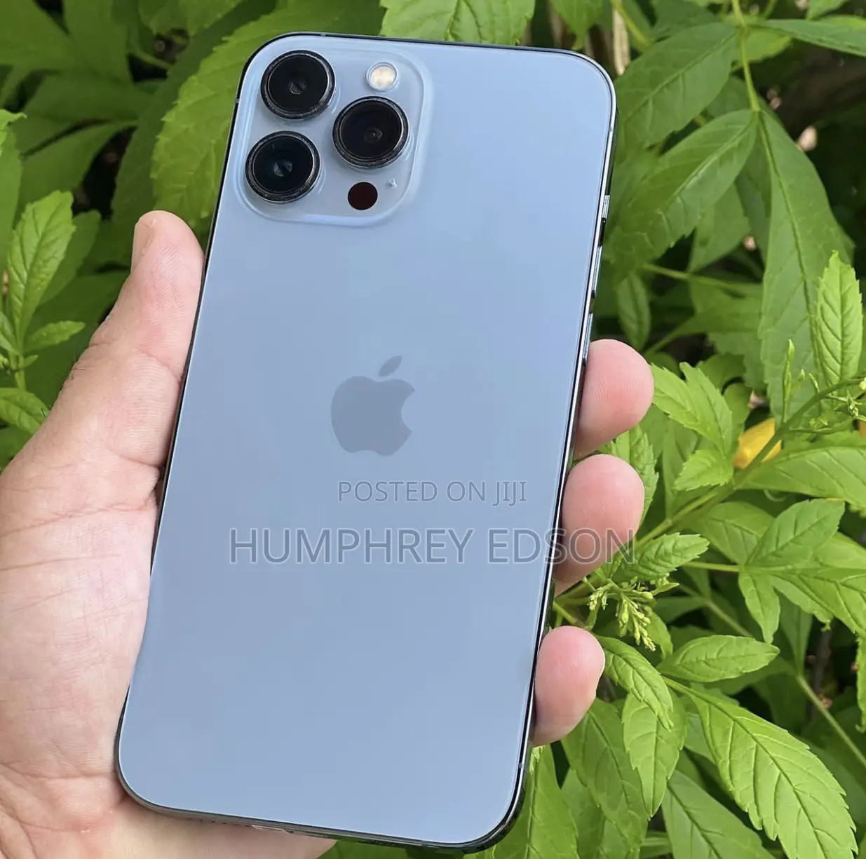 New Apple iPhone 13 Pro Max 256 GB Blue