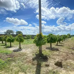 953 Plot for Sale at Bunju Beach Moga
