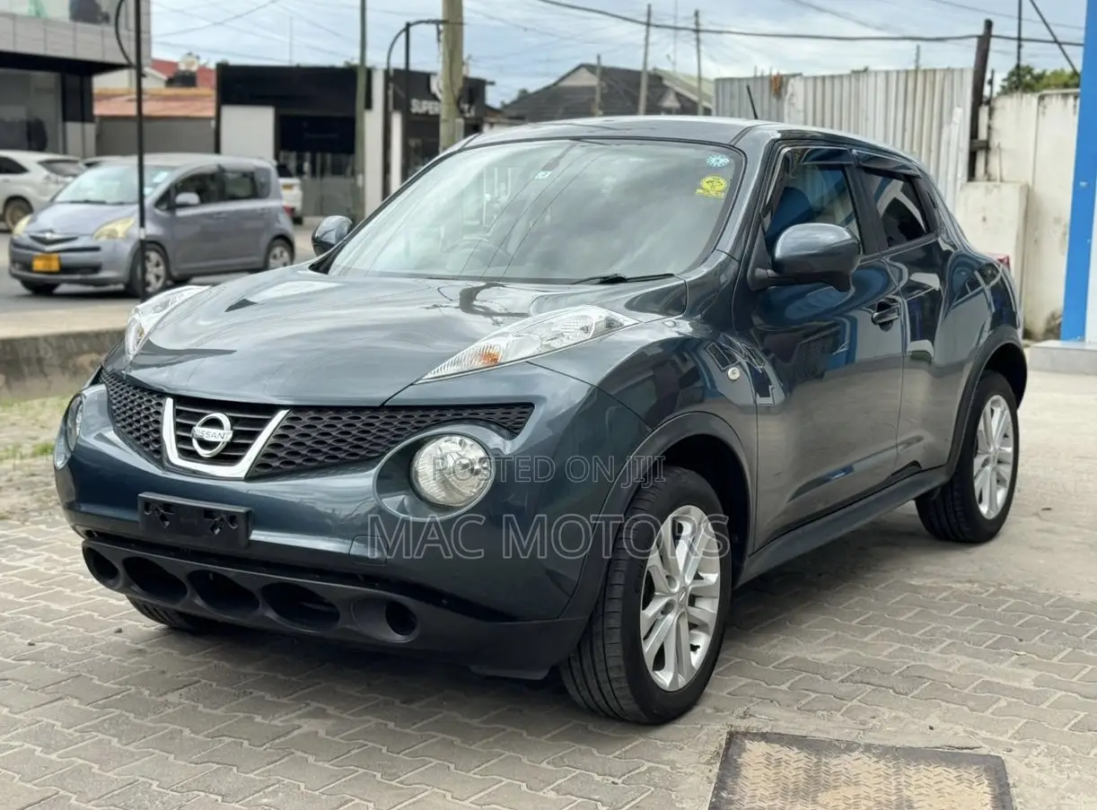 Nissan Juke S 2011 Blue