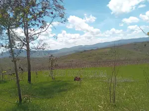Shamba Linauzwa Kilolo