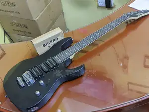 Ibanez Solo Guitar