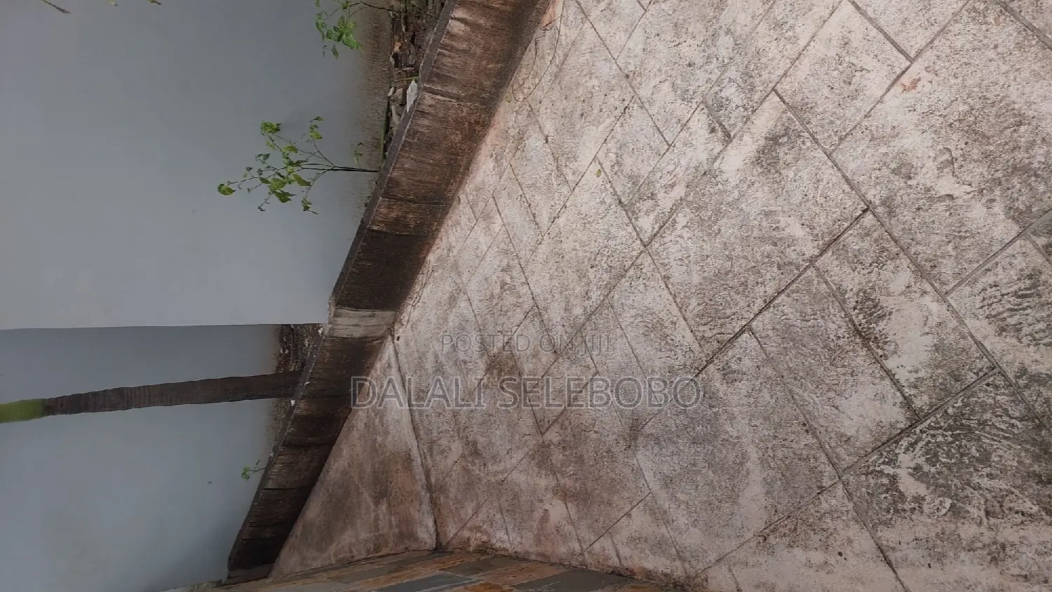 Mini Flat in Sinza Mori Near By for rent