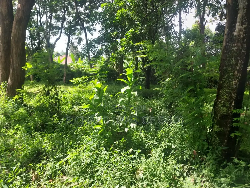 7000 Square Meters Of Land In Sakina-arusha