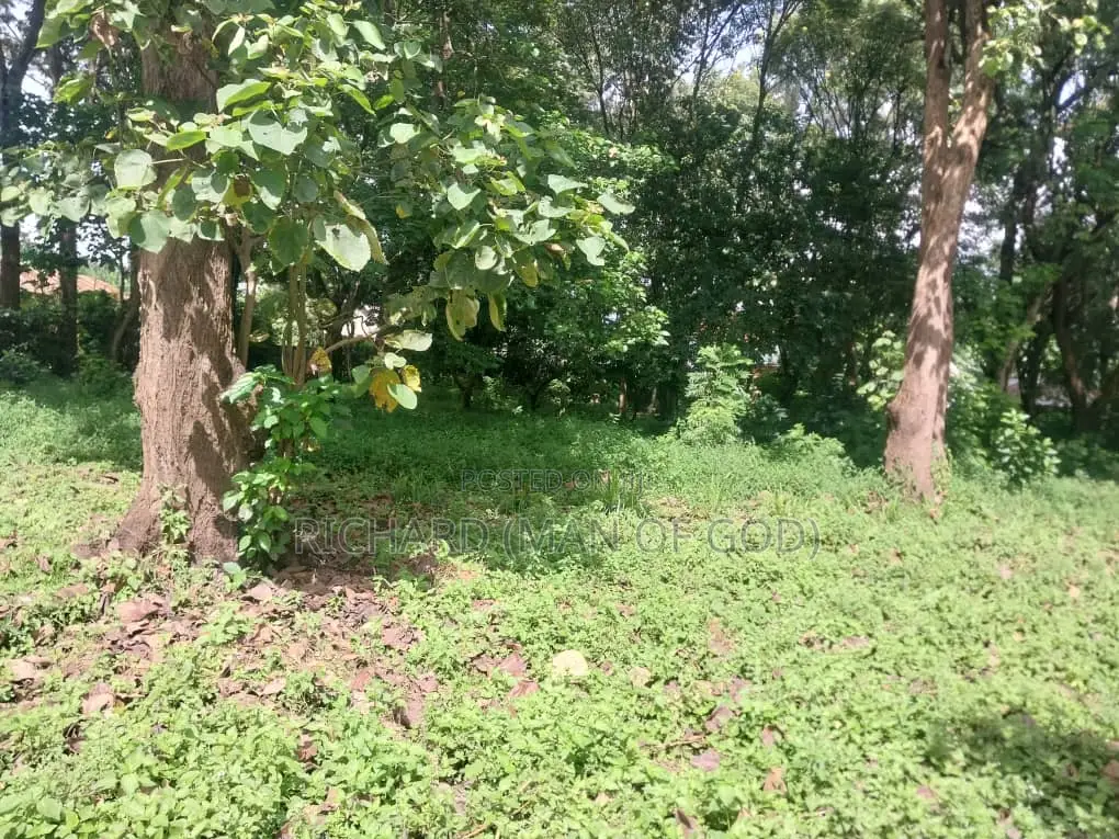 7000 Square Meters Of Land In Sakina-arusha