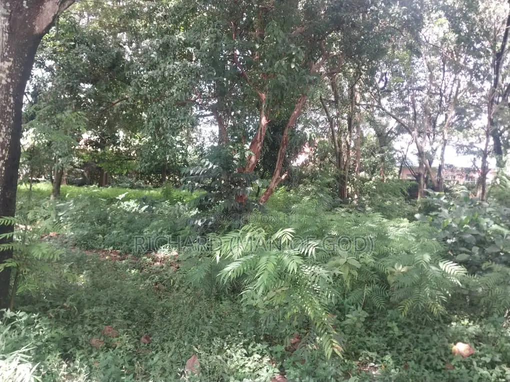 7000 Square Meters Of Land In Sakina-arusha