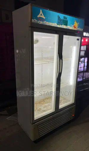 Display Fridge Kubwa
