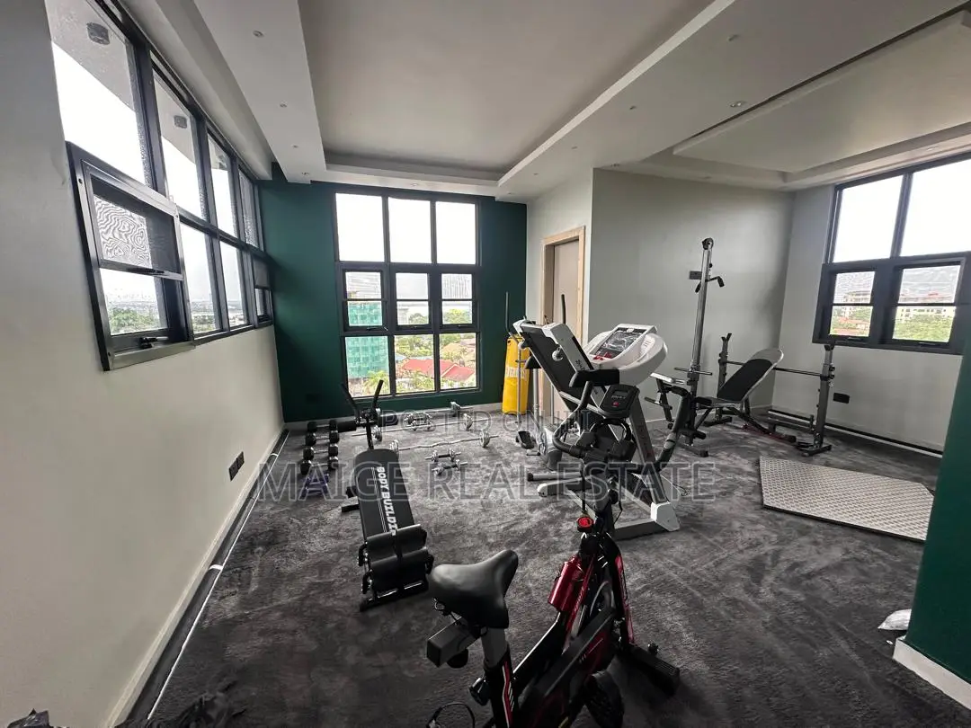Furnished 1bdrm Apartment in Masaki for rent