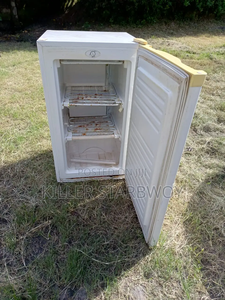 Chest Freezer Inagandisha Barafu Kote