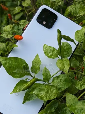 Google Pixel 4 XL 64 GB