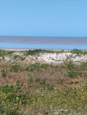 Beach Plot for Sale in Mkuranga, Kisiju.