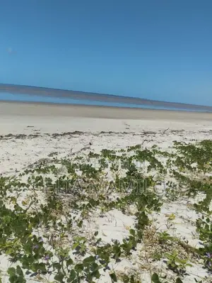 Beach Plot for Sale in Mkuranga, Kisiju.
