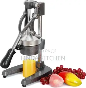 Manual Commercial Fruit Press