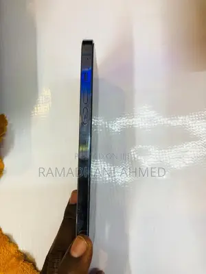 Apple iPhone 13 Pro Max 256 GB Blue