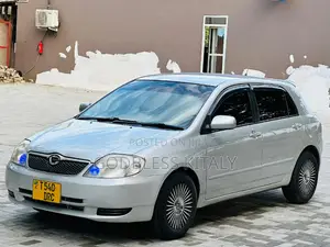 Toyota Corolla RunX 2003 Silver