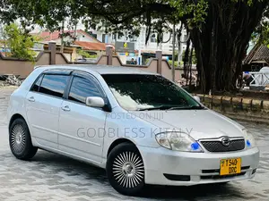 Toyota Corolla RunX 2003 Silver