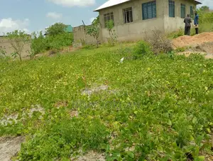 Kiwanja Kinauzwa Kisemvule