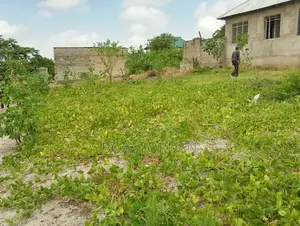 Kiwanja Kinauzwa Kisemvule
