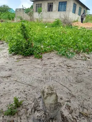 Kiwanja Kinauzwa Kisemvule