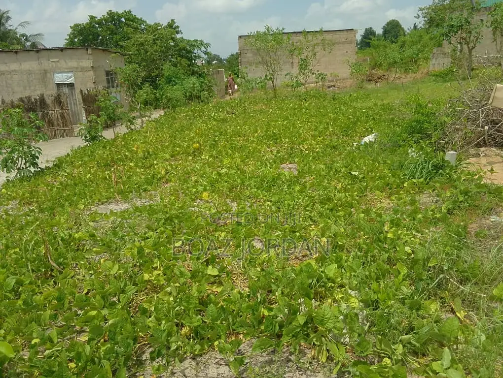 Kiwanja Kinauzwa Kisemvule