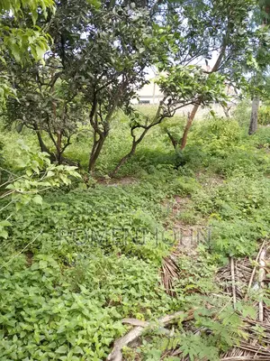 Eneo Sqmita 1000 Linauzwa Ml 38.5 Ukonga Mazizini.