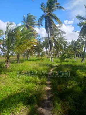 Acre 50 Beach Plot for Sale Kilwa