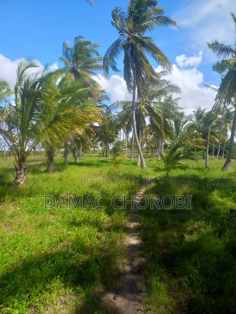 Acre 50 Beach Plot for Sale Kilwa