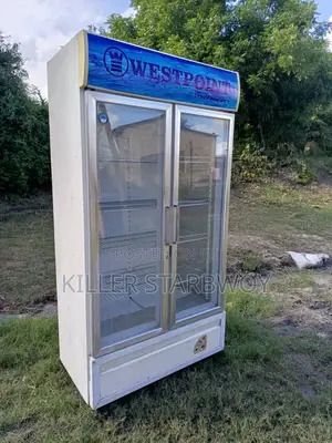 Display Fridge Kubwa