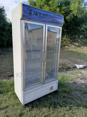 Display Fridge Kubwa